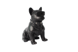 Max Power Frenchie Bull Dog Speaker With Glasses & Dog Collar - Black